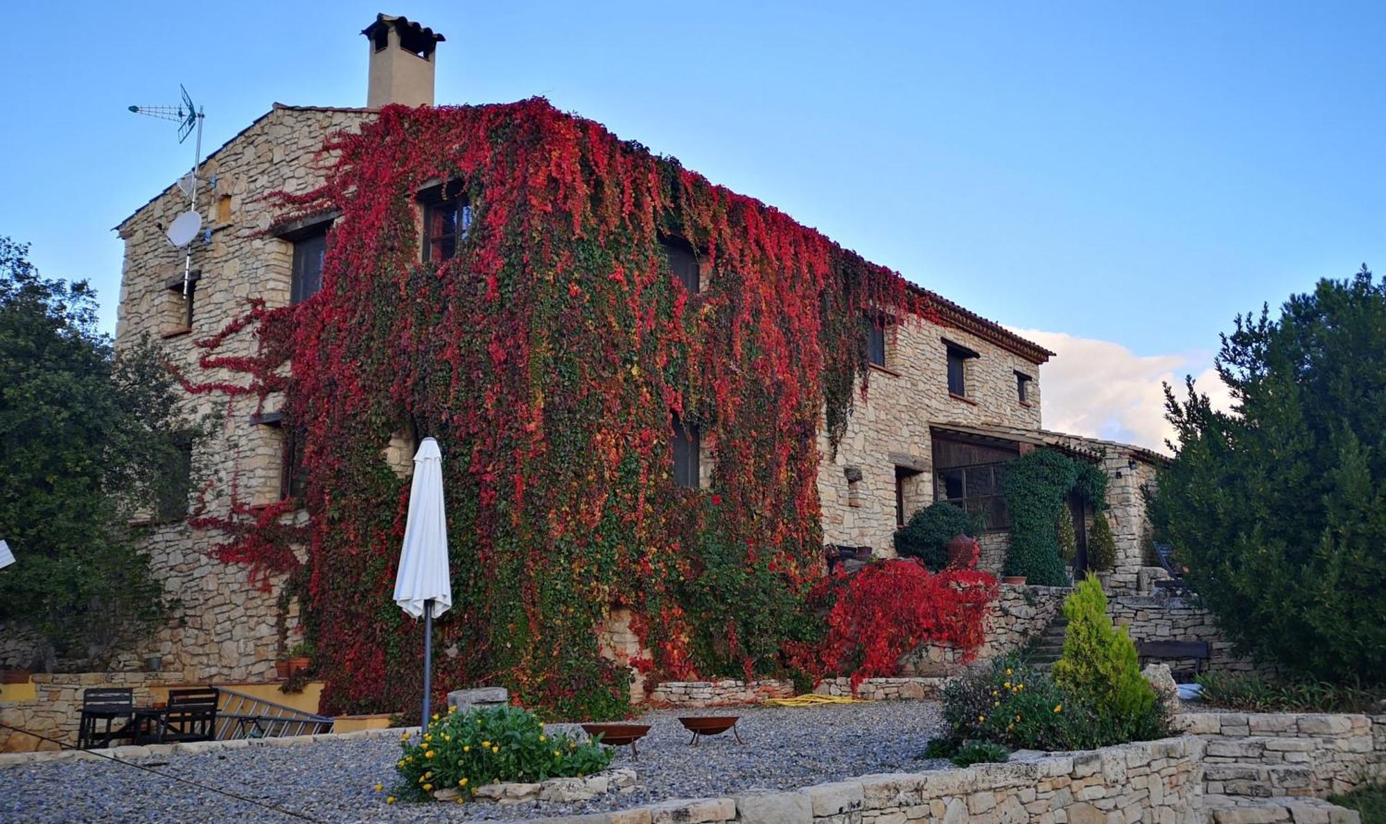 Mas De L'Arlequi Guest House Rojals ภายนอก รูปภาพ