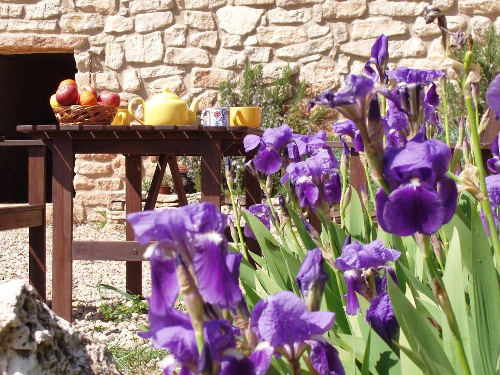 Mas De L'Arlequi Guest House Rojals ภายนอก รูปภาพ